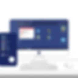 User interface of AnyDesk Professional showcasing its remote access capabilities