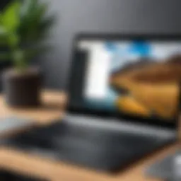 Camtasia interface on Chromebook showcasing screen recording features