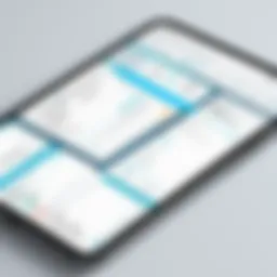 Overview of drchrono EHR app interface