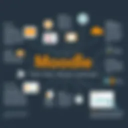 Visual representation of Moodle's user interface