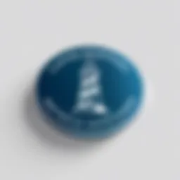 Lighthouse Medical Staffing logo representation