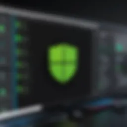 User interface of IP Vanish on Windows highlighting features