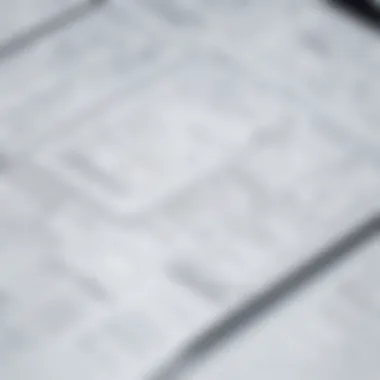 Detailed Wireframe Layout A detailed wireframe layout showcasing user interface elements